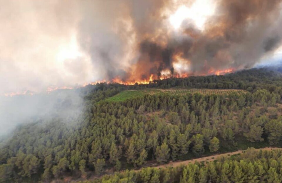 Fire is seen at a distance in the landscape. Huge fire in south France destroys 250 hectares but now under control