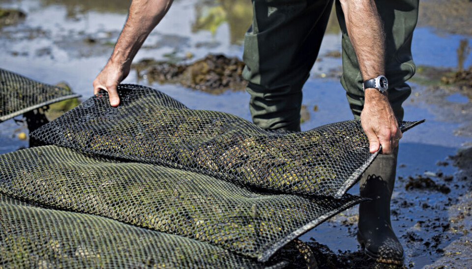 Bartosz Luczak / Shutterstock