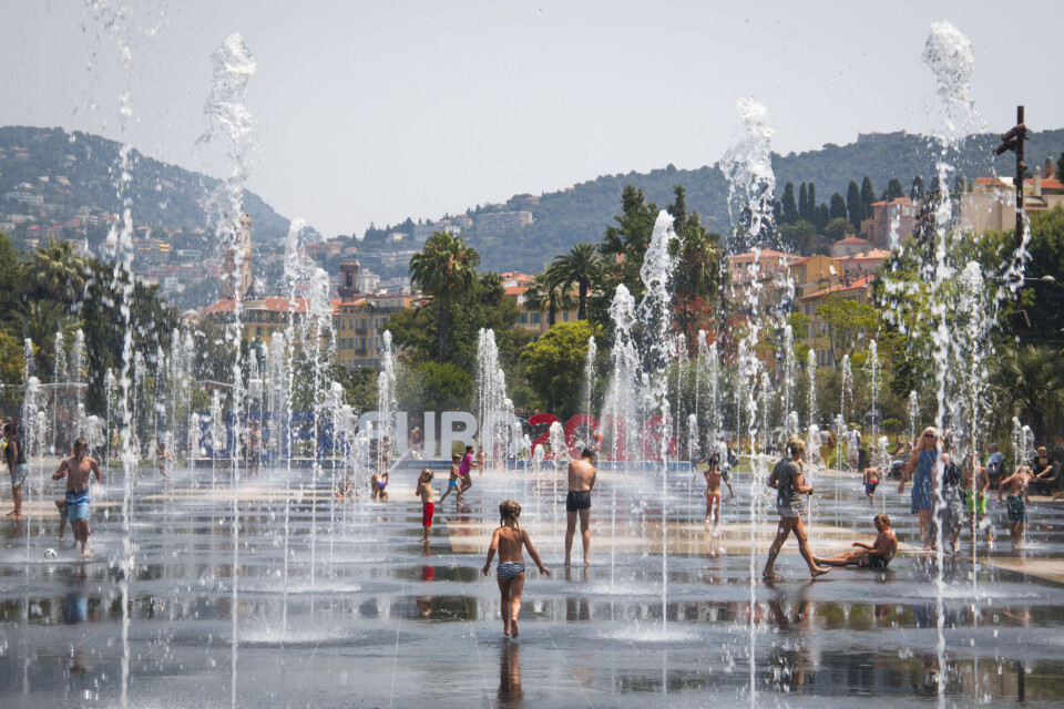 nicolasdecorte / Shutterstock