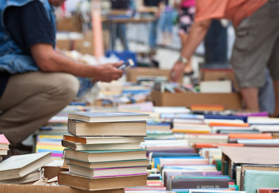 A person browsing at a book fair