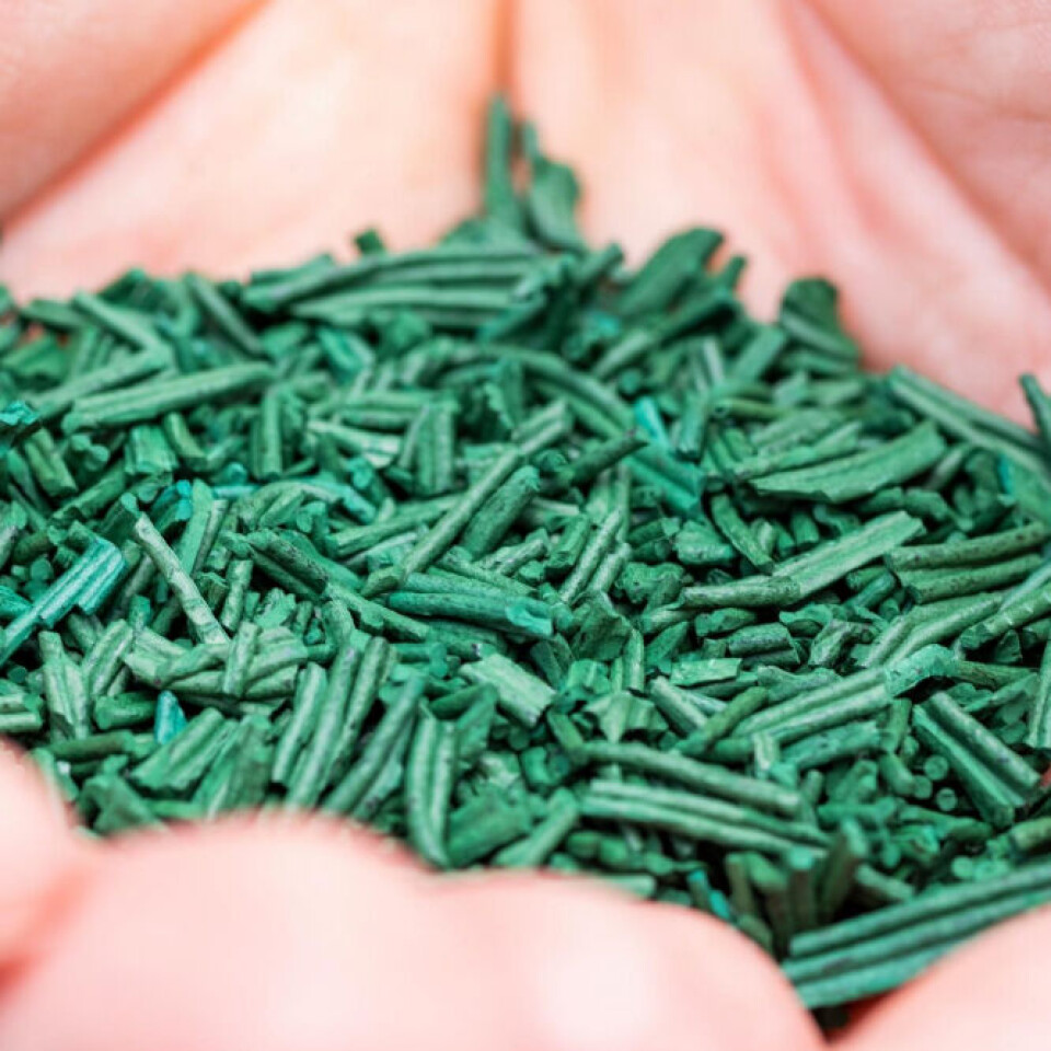 Spirulina