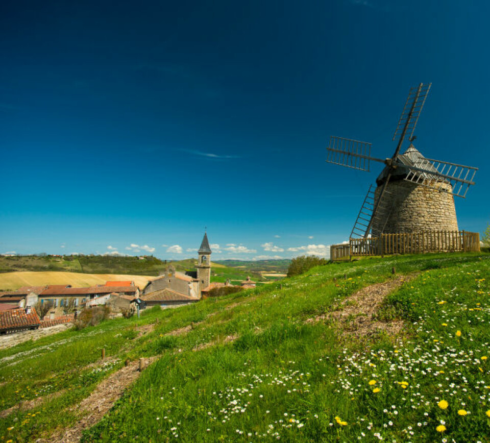Windmill in Lautrec