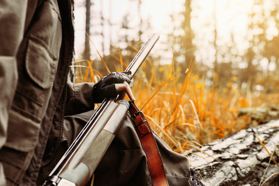 A hunter with a firearm during a shoot in an autumn landscape