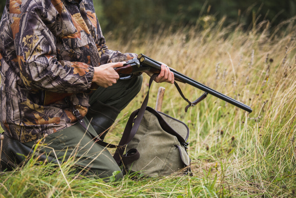 Hunter with a backpack and a hunting gun in an autumn forest