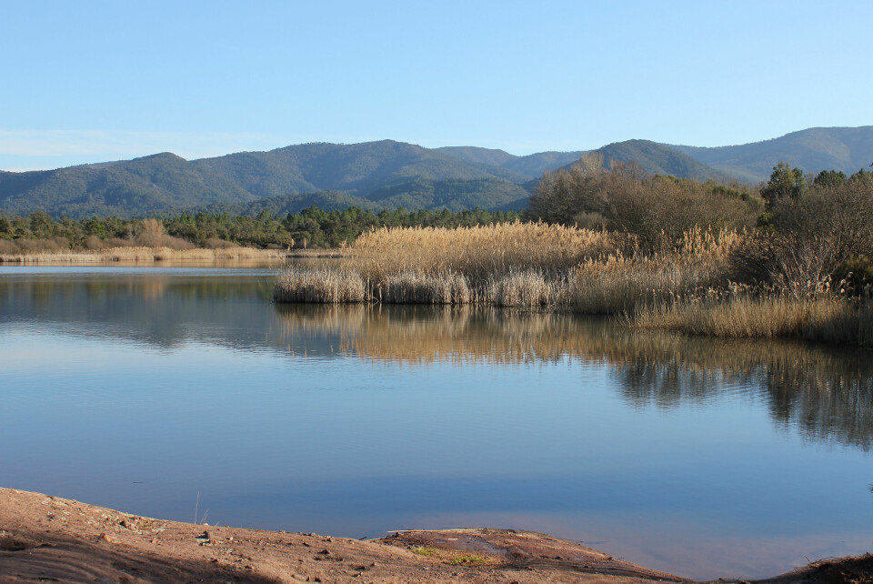 An image of Lac des Escarcets in the Massif des Maures