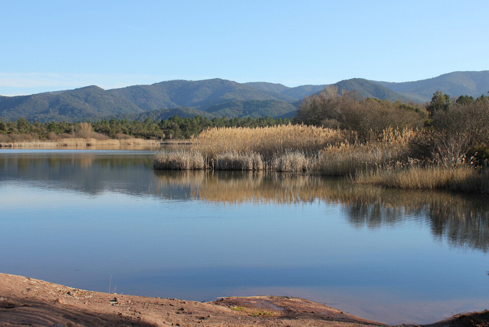 frozygraphie / Shutterstock An image of Lac des Escarcets in the Massif des Maures