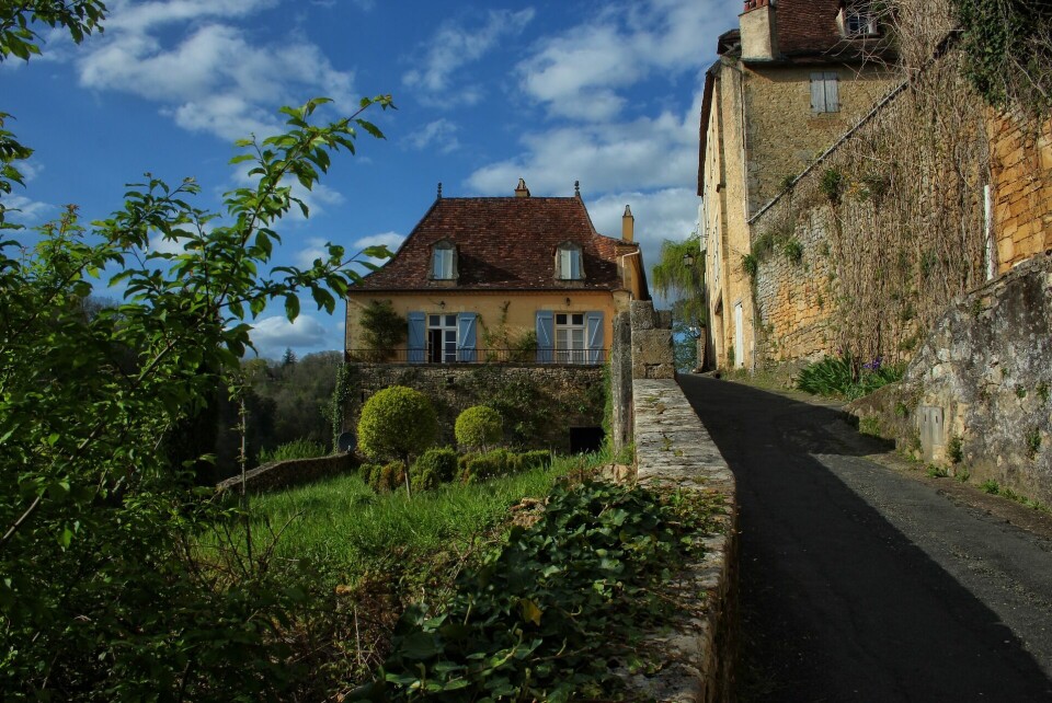 Dominique Devroye / Pixabay