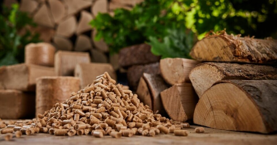 A view of wood pellets against a background of firewood logs
