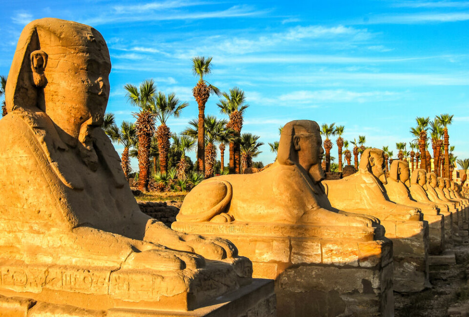 A view of ancient sphinx states and temples in Egypt