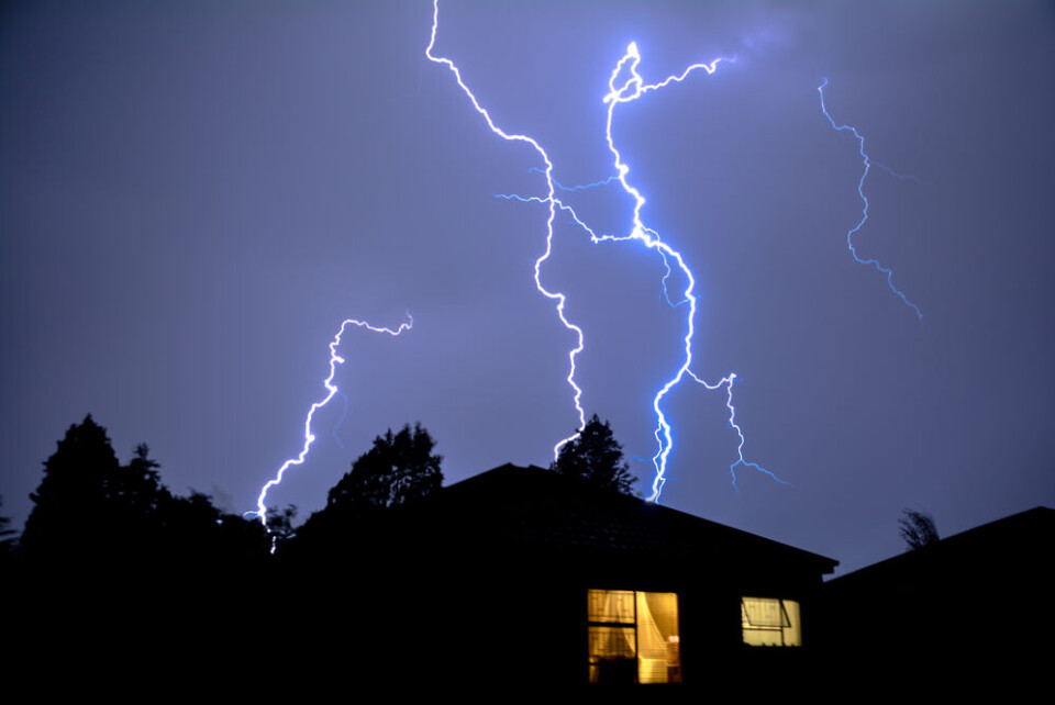 Marc Rossmann / Shutterstock