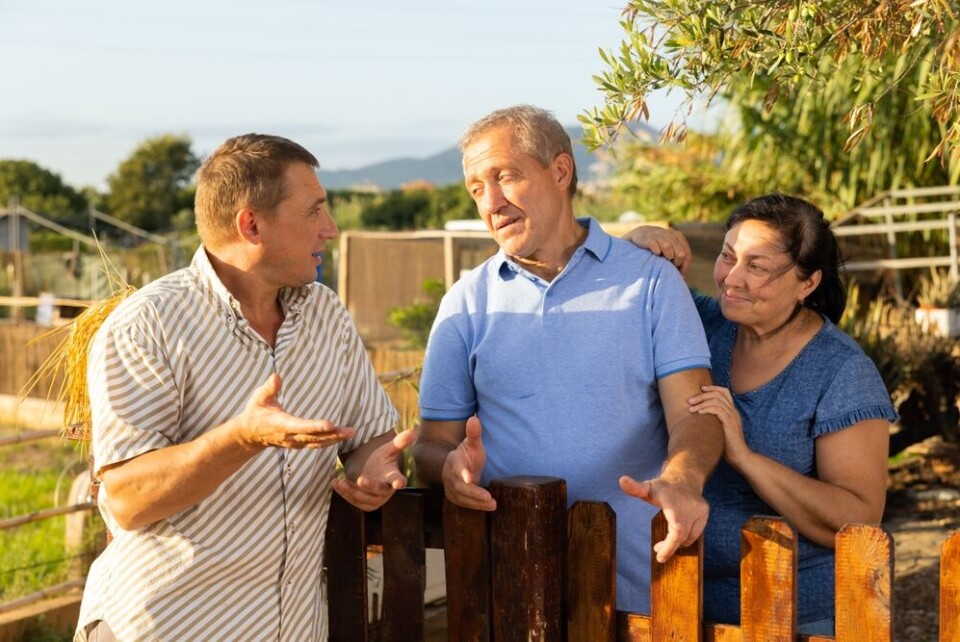 BearFotos / Shutterstock