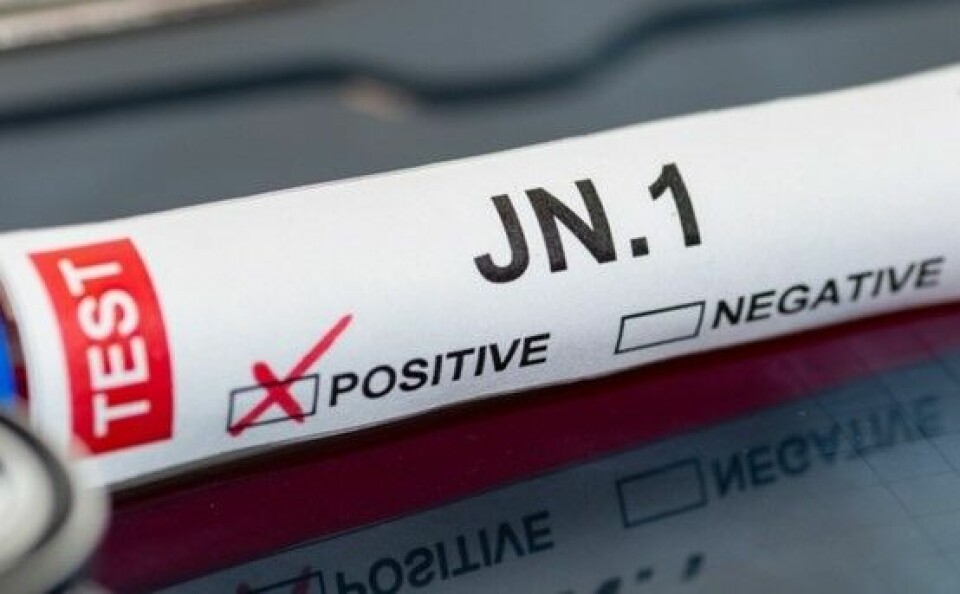 A view of a test tube with a positive check for JN.1