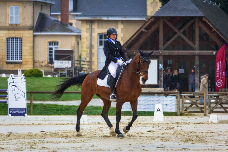 A view of a competitor taking part in a spring dressage competition at the Haras national de Pompadour