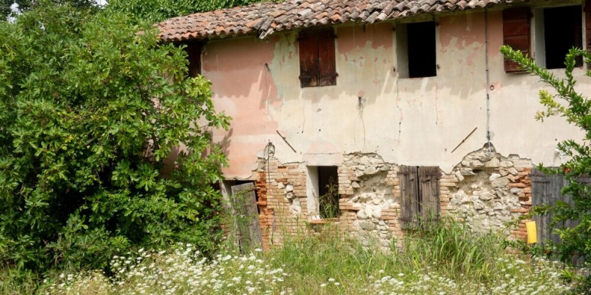 feature-image