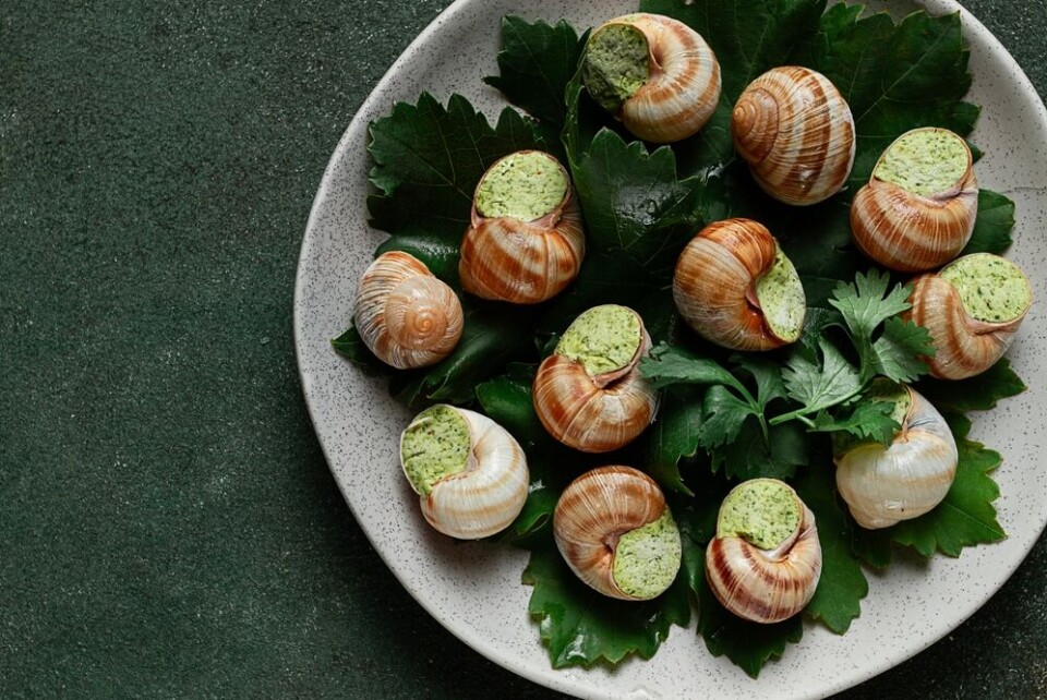 A view of snails with garlic parsely butter on a plate