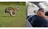A rabbit running and a man holding his neck in pain because of whiplash