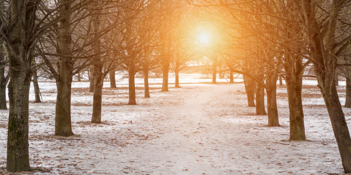 Very cold spell ending: french weekend weather outlook january 18 - 19