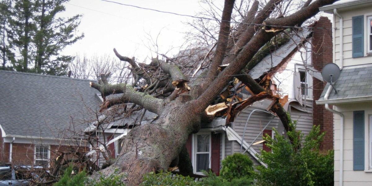 Ten tips on insurance claims for storm damage in france