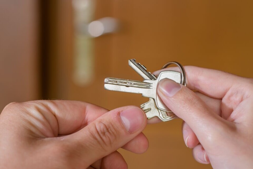 PawelKacperek / Shutterstock