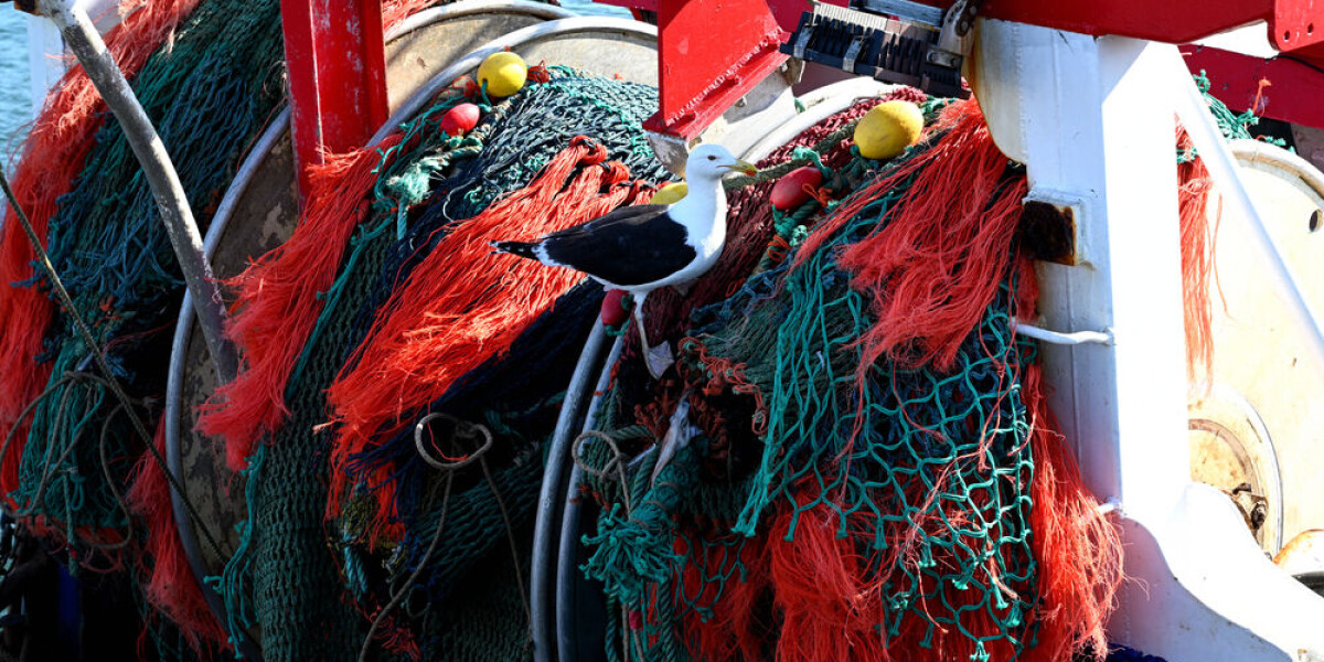 Fishing is banned off west coast of france to protect dolphins
