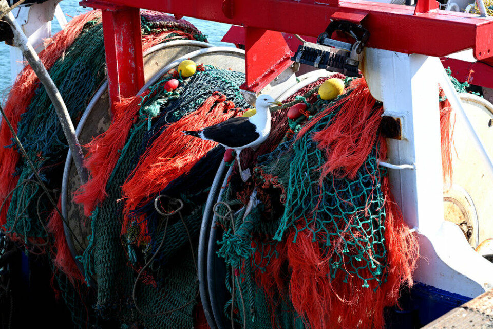 A close-up photo of nets on a fishing boat in Brittany, France