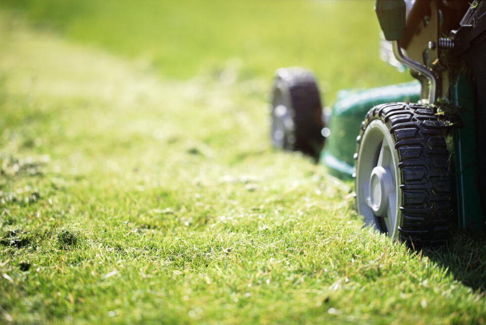 A view of someone mowing a lawn with a standing mower