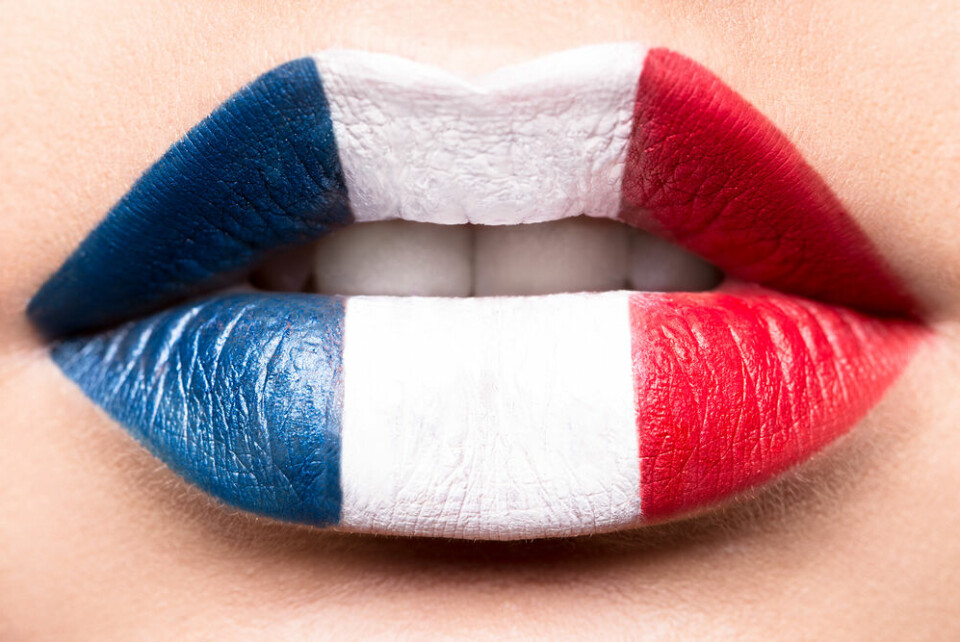 A close-up of a woman’s lips (and teeth), with the lips painted with a French flag