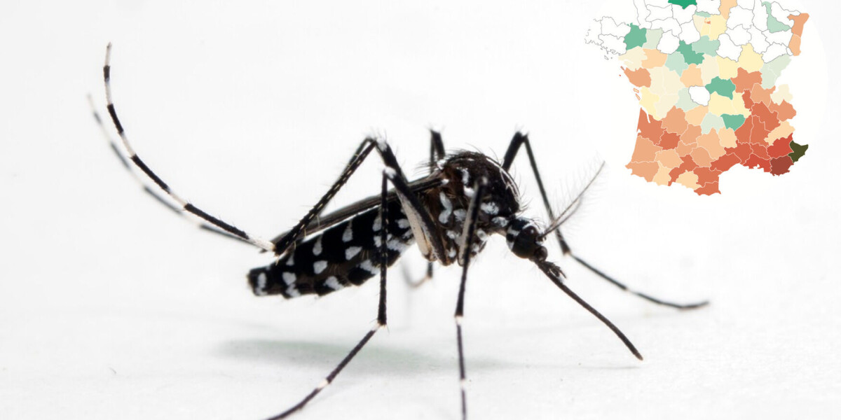 MAP: Where tiger mosquitoes have spread to in France
