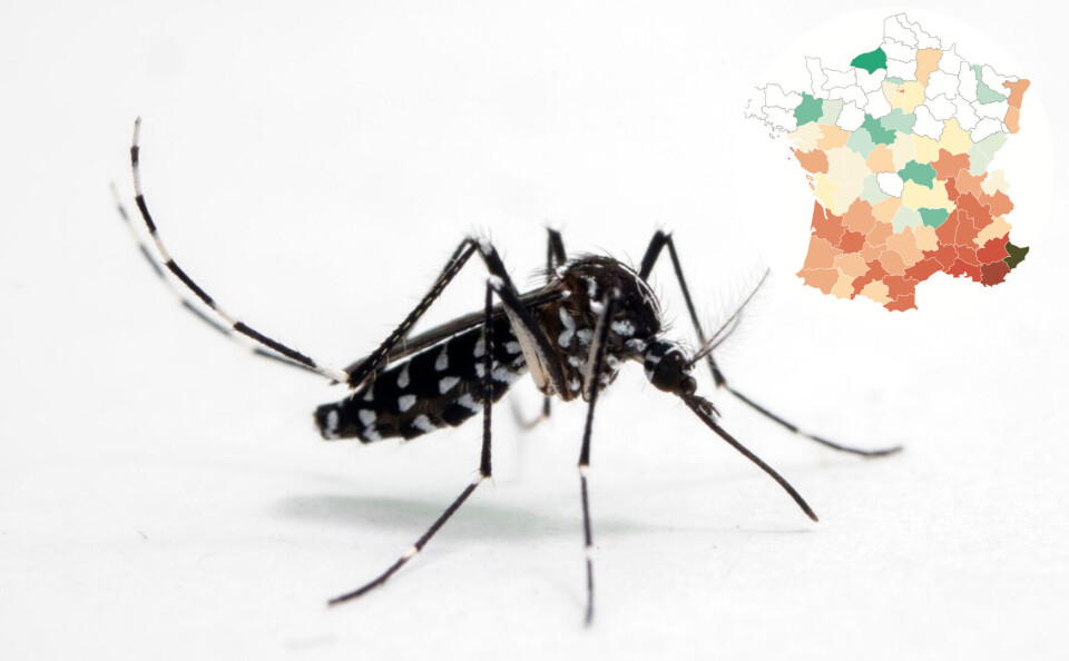 InsectWorld / Shutterstock