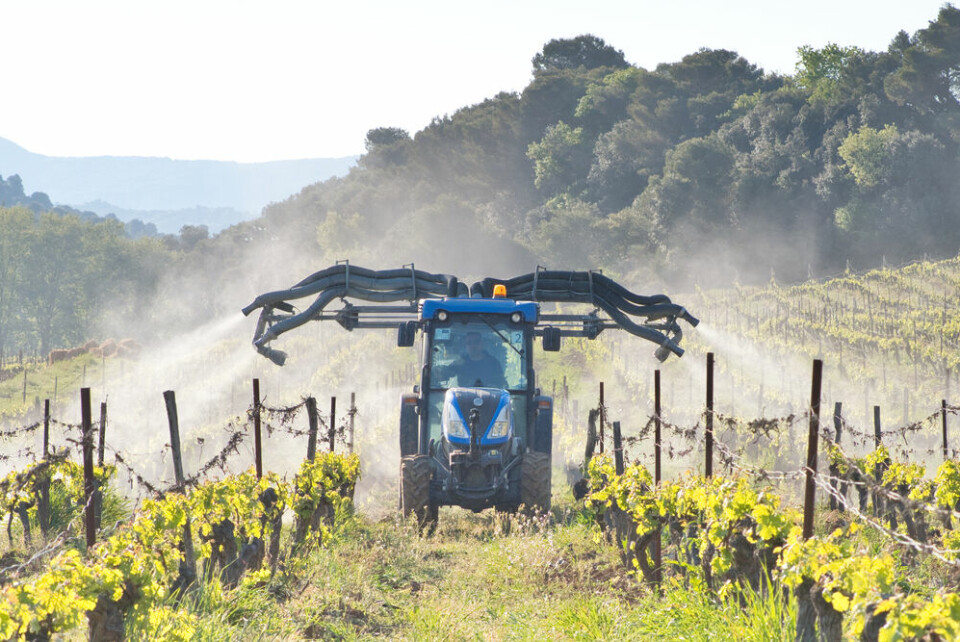 Tractor sprays grape vines in France