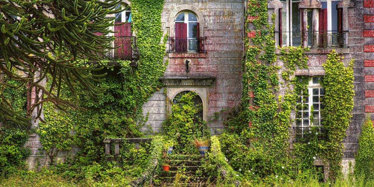 feature-image