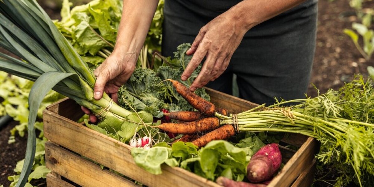 5 ways to buy food directly from farmers in france