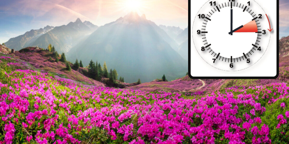 feature-image