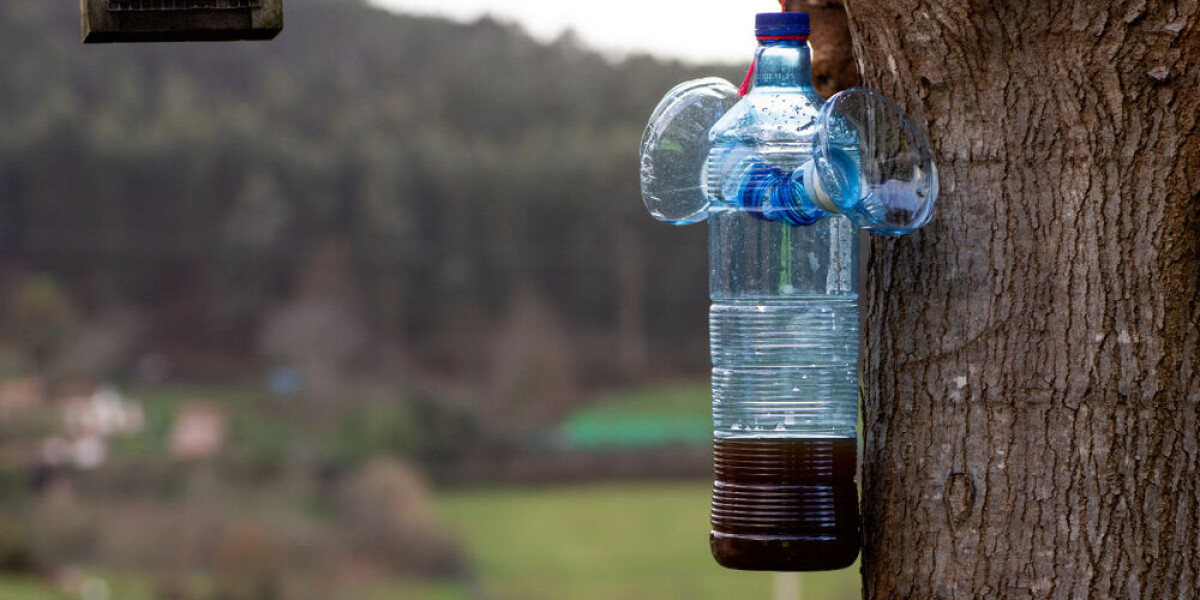 List: does your french commune give free traps for asian hornets?