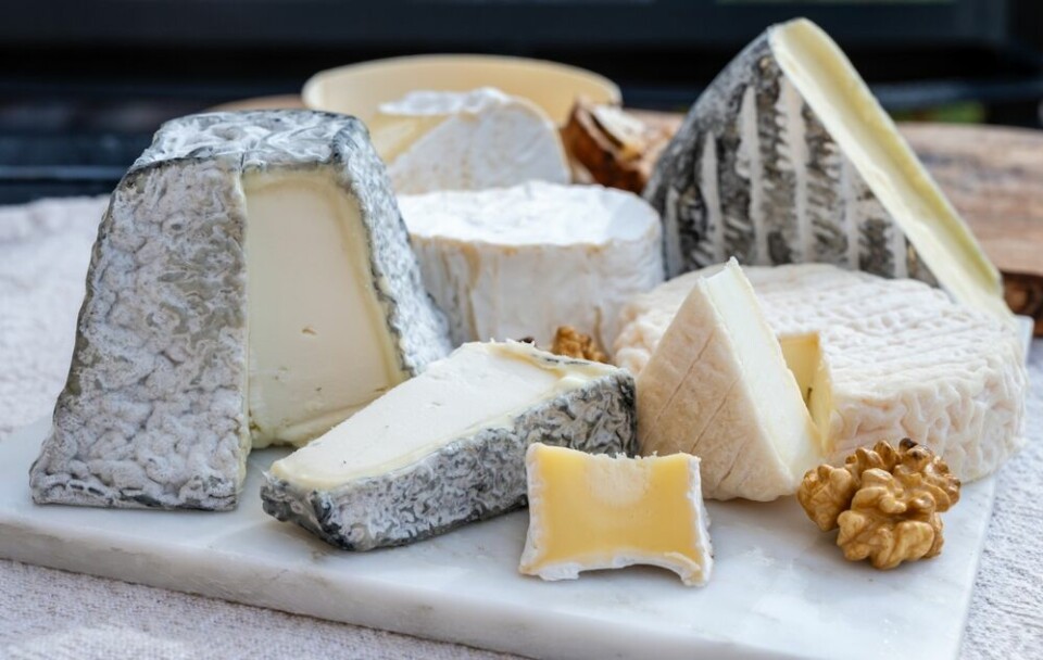 A cheeseboard including a selection of French cheeses, including tomme and various types of goat’s cheese