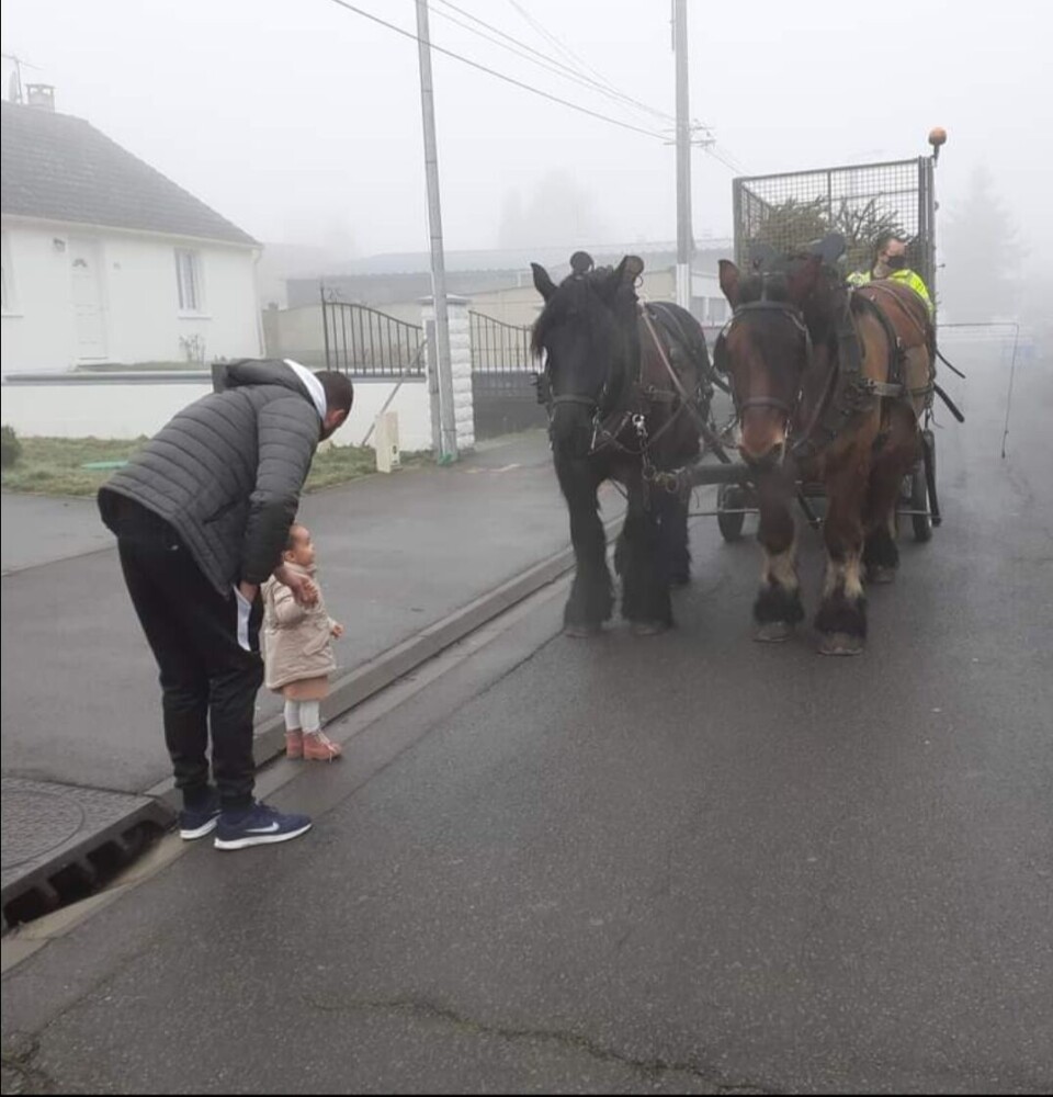 A man and his young daughter looking at the horse-drawn carriage