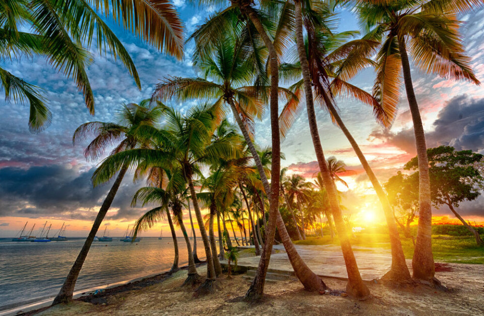 Filip Fuxa / Shutterstock