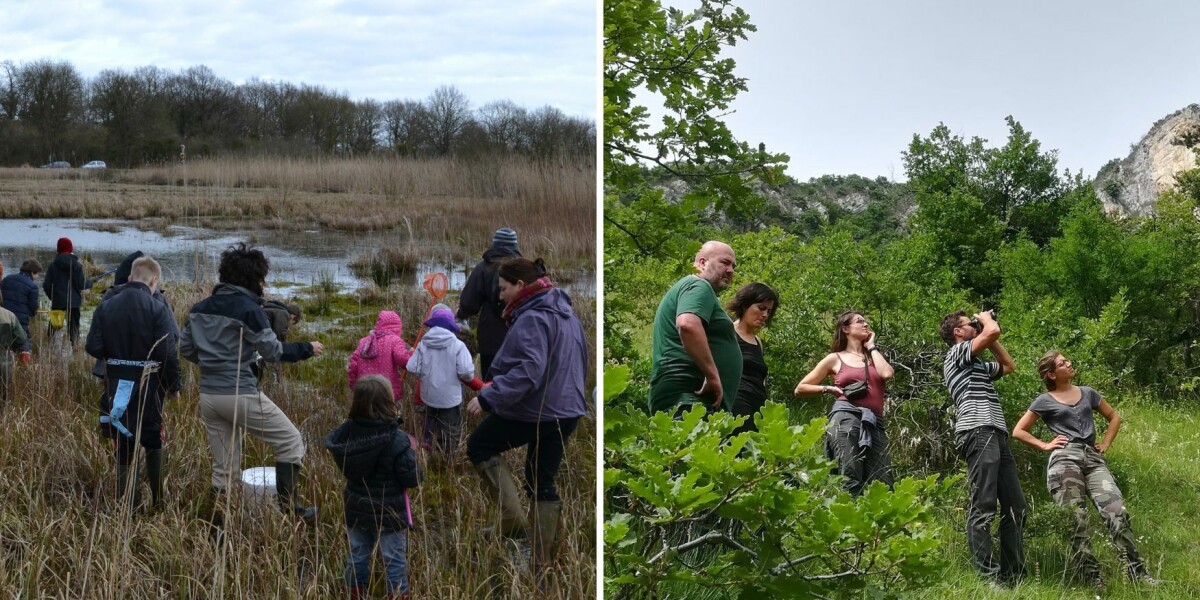 Discover hidden nature reserves in france by volunteering