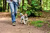 Man walking his dog on a lead in a forest