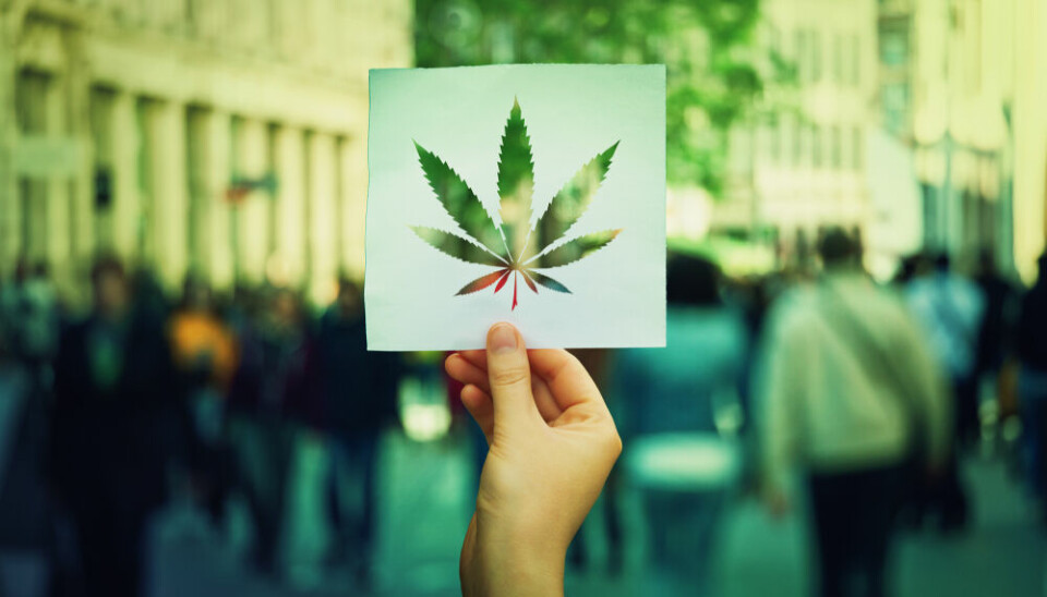 A view of someone holding up a cannabis leaf cut-out against a city