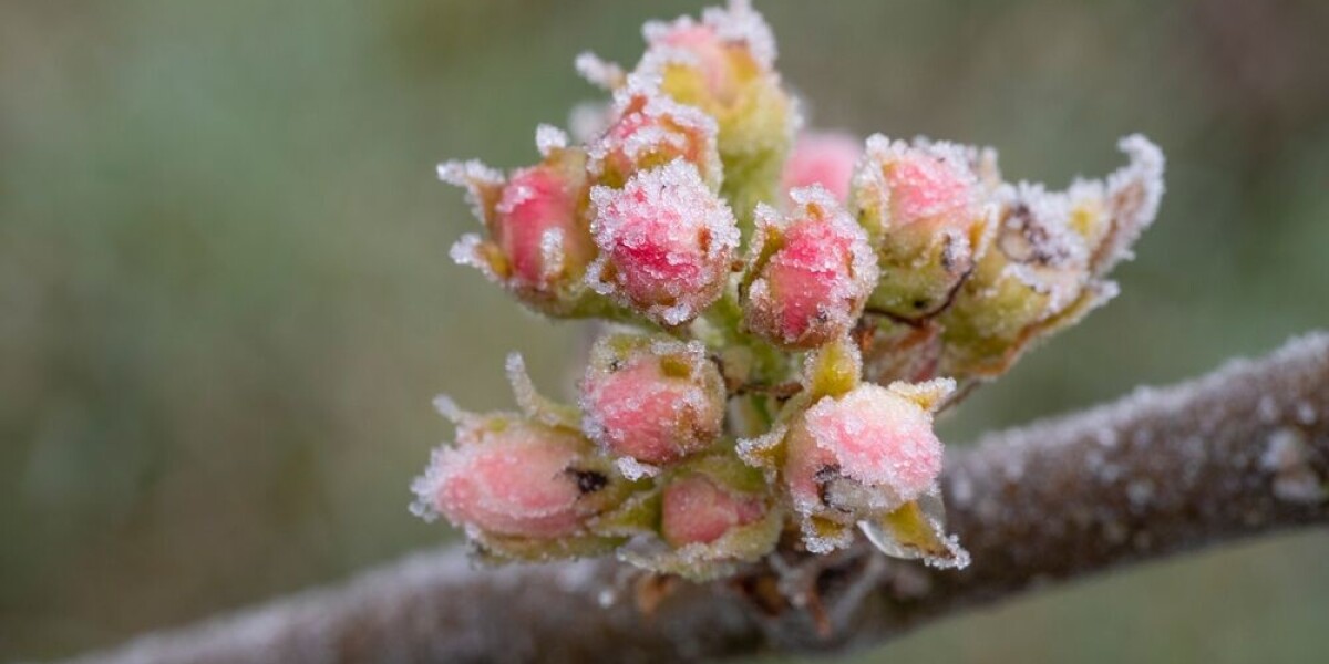 Cool week ahead for france after temperatures drop, frosts expected