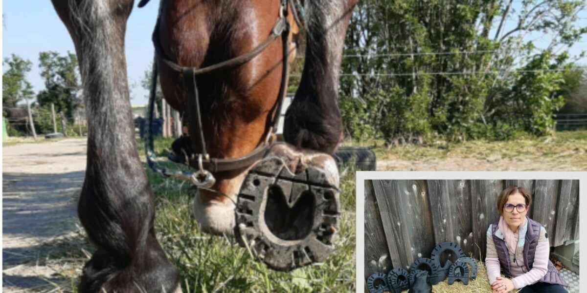 Un couple français améliore la santé des sabots des chevaux grâce à des fers en plastique