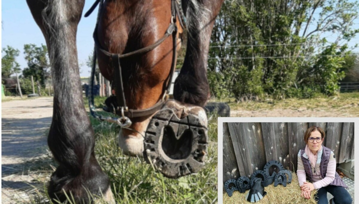 Un couple français innove en matière de santé des sabots de chevaux avec des chaussures en plastique