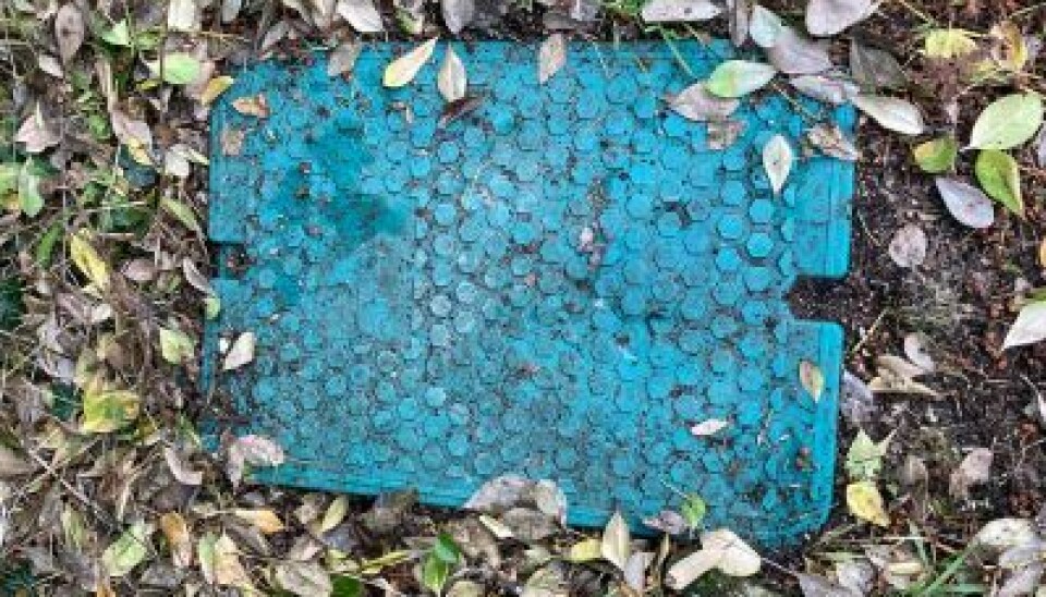 French water regard plastic cover
