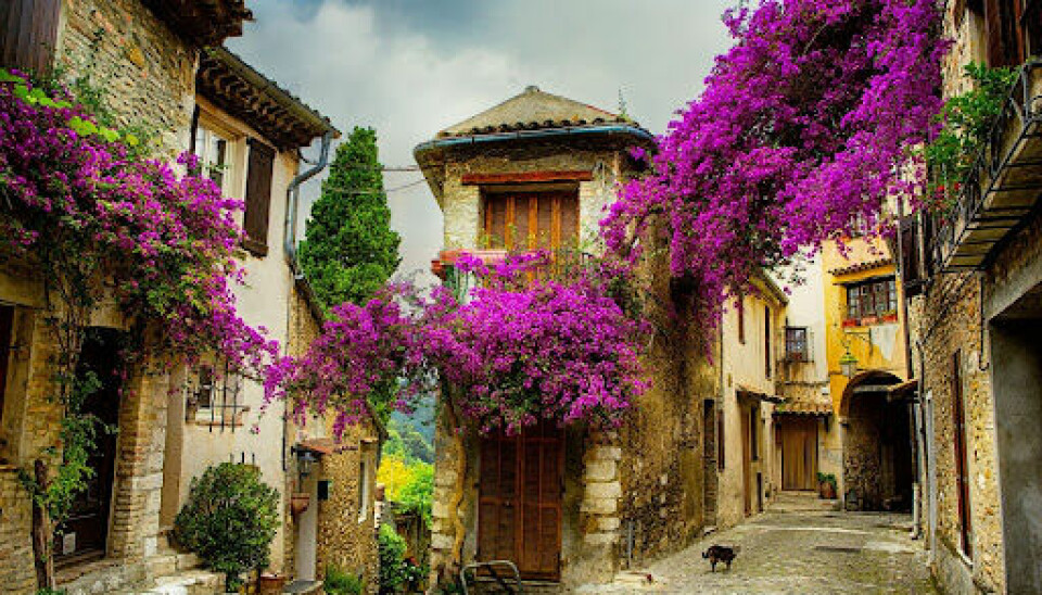 Narrow street in a small French village with flowers