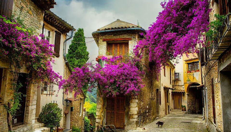 Konstanttin / Shutterstock Narrow street in a small French village with flowers