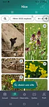 INPN Espèces app, upload images of plants and wildlife