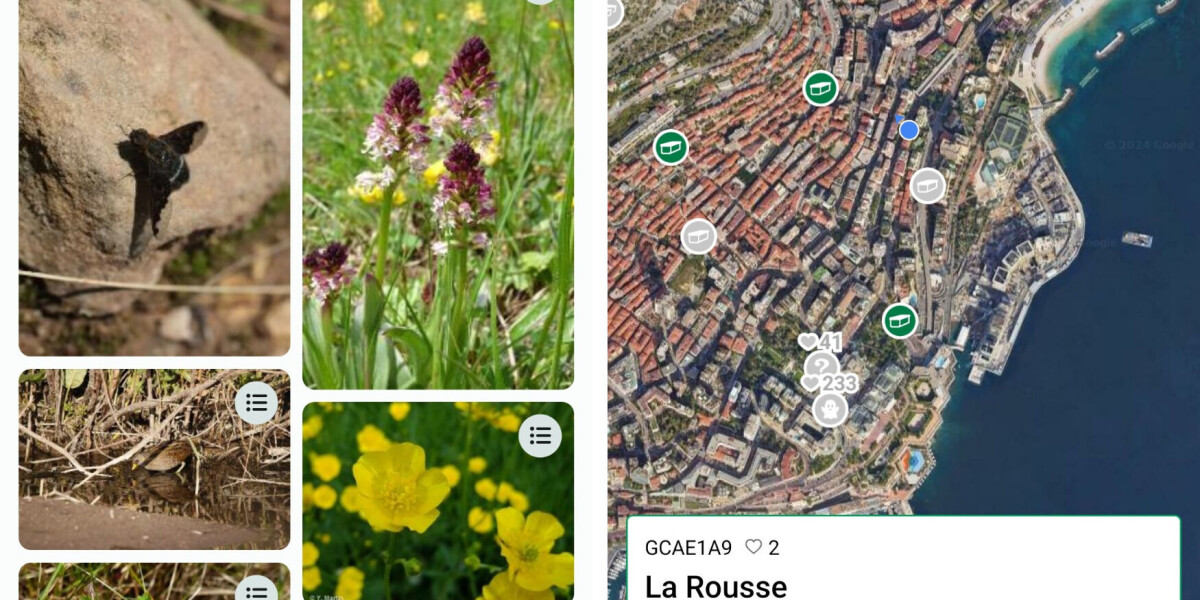 Seven essential apps hikers must have in france