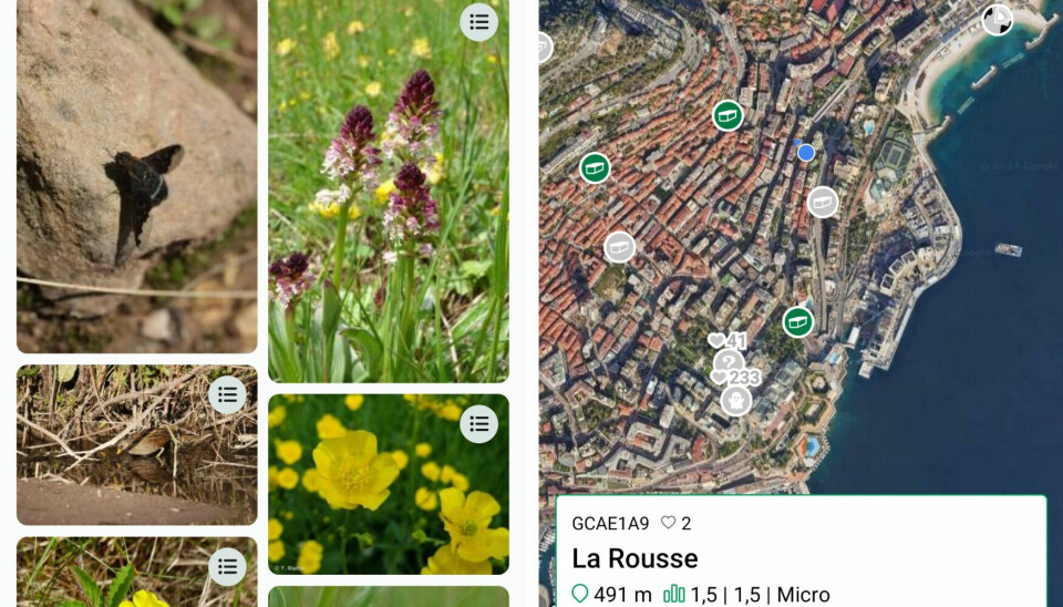 INPN Espèces app, upload images of plants and wildlife and use the Geocaching app to turn walks into treasure hunts
