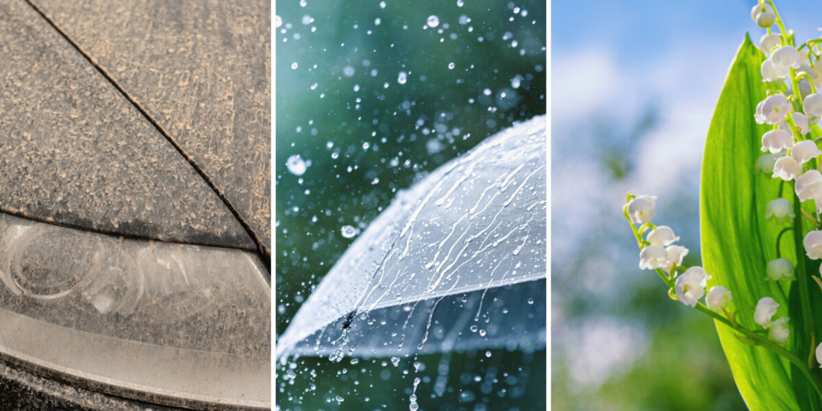 Saharan sands, rain in pyrénées, warm spring: french weather trends